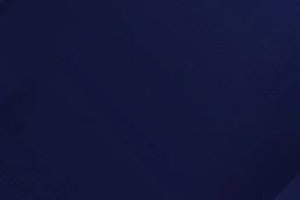 company-hero-section